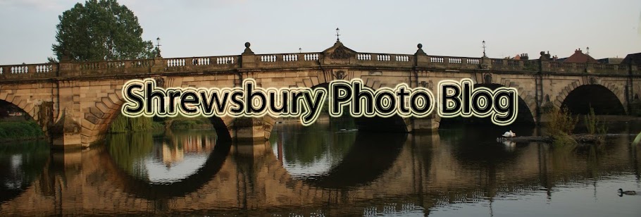 Shrewsbury Photo Blog