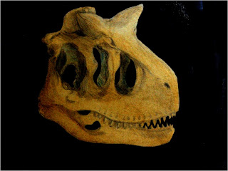 Indominus - Spoiler: Apariencia del I-Rex - Página 8 Carnotaurus+skull