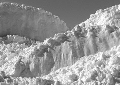 Pile of snow or otherwordly mountain landscape? Visit DanC's blog for more pix of Ottawa's latest snow job.
