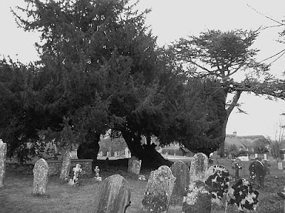 Lytchett Minster churchyard