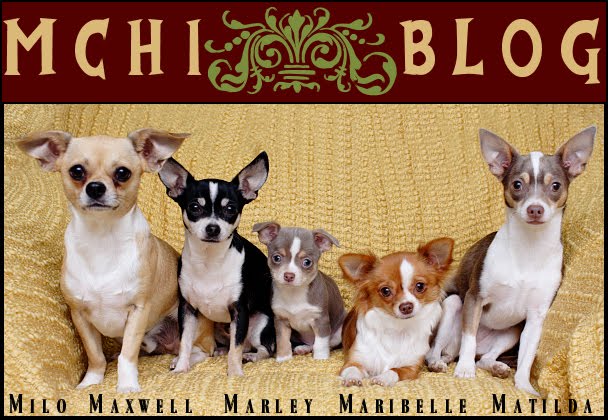 MChis Blog