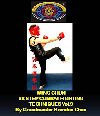 Combat Fighting