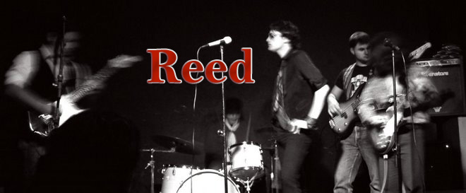 Reed