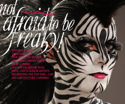 zebra face makeup
