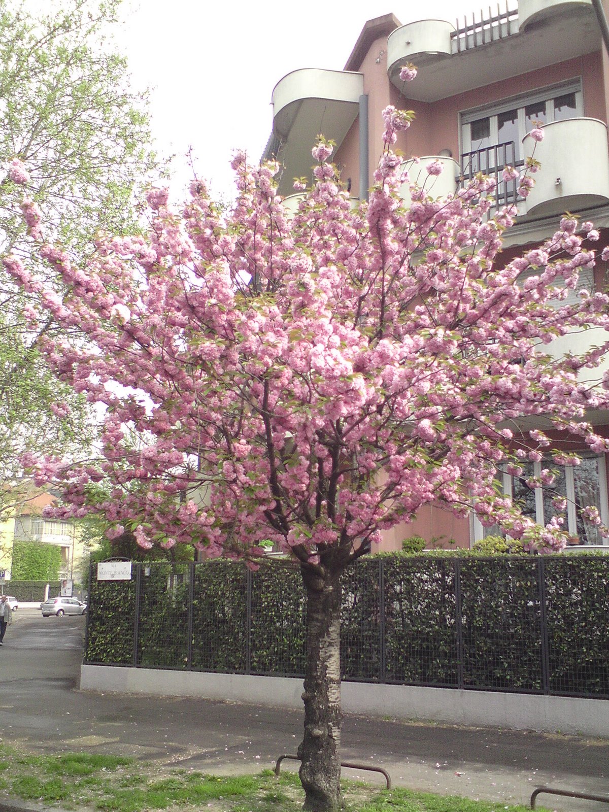 [DSC01018.JPG]