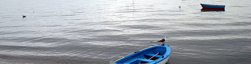 [DSC00913.JPG]