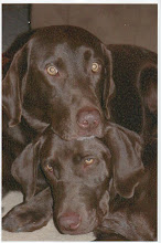 Charlie and Maggie