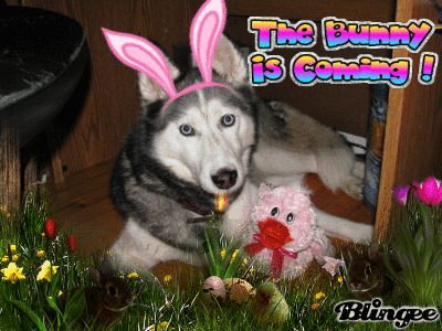 Happy Easter 2010 Youtube | Kumpulan Cerita Mesum Terlengkap