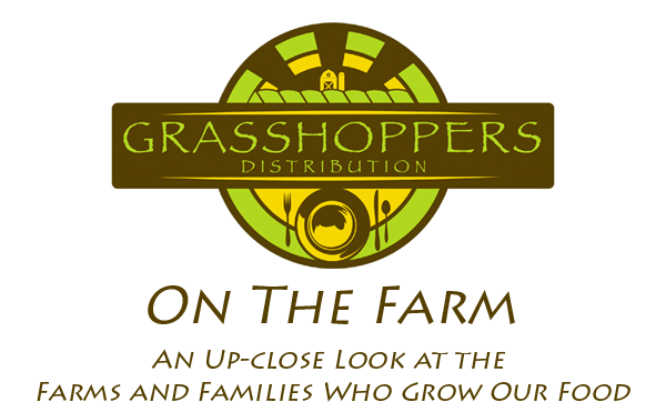 Grasshoppers Distribution