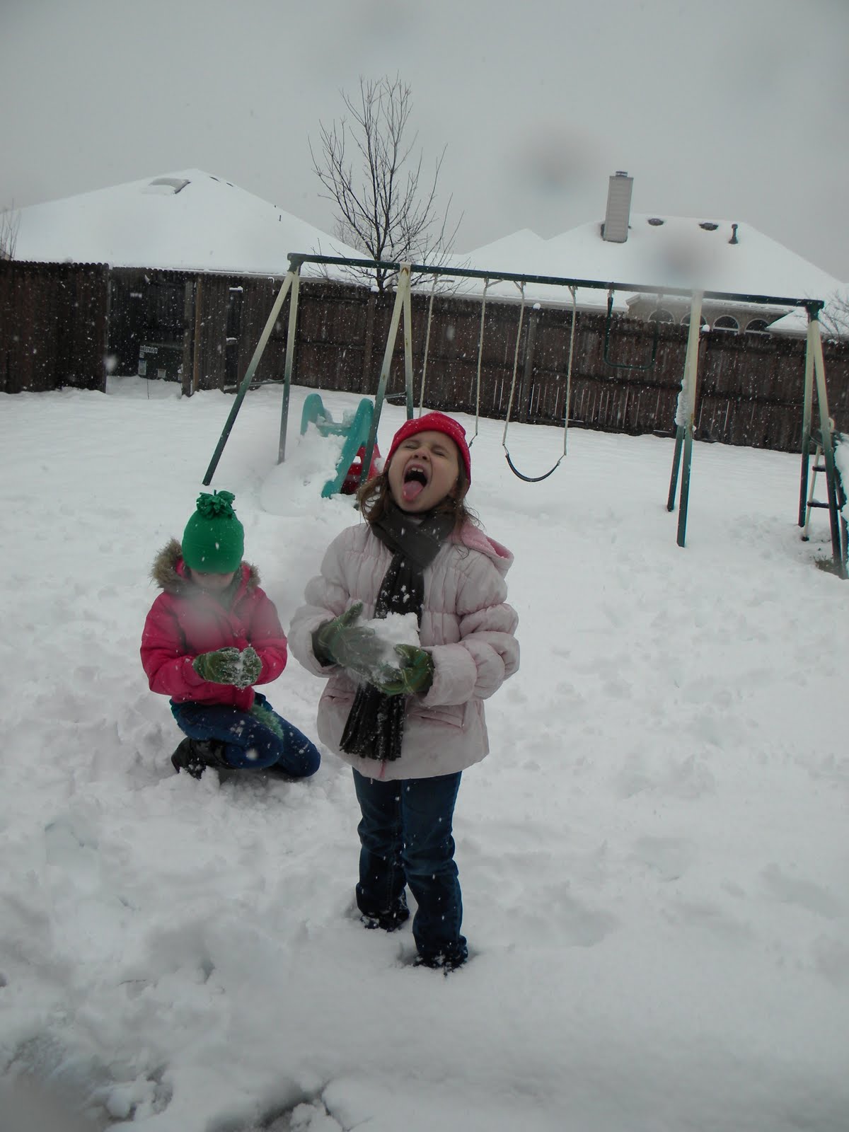 [DSCN0954.JPG]