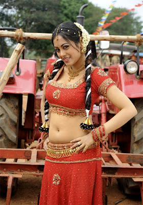 ACTRESS WORLD: Actress Meenakshi Dixit hot photo Gallery