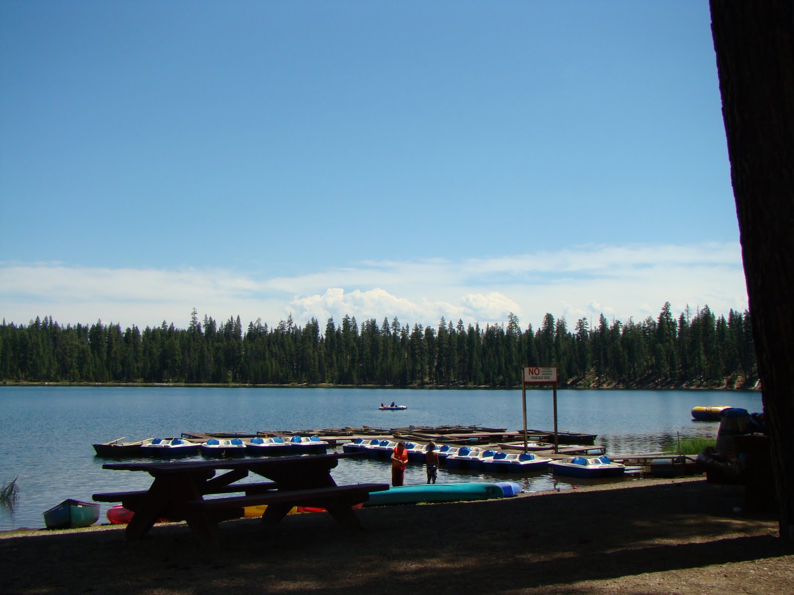 Central Oregon North Twin Lake, Twin Lakes Resort and Crane Prairie Resort