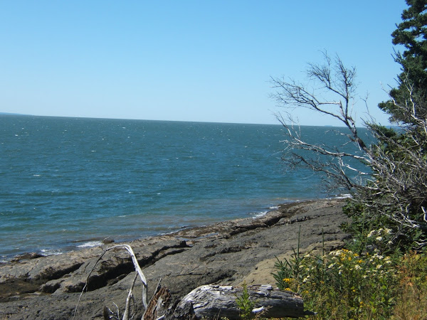 bay of fundy