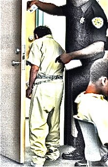 Illegal immigration raid picture