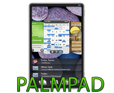 PalmPad: Más detalles