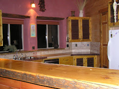 Kitchen bar
