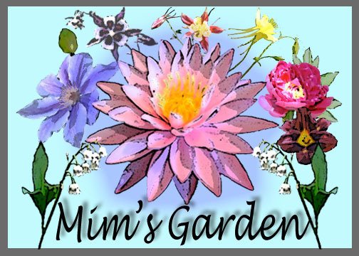 Mim's Garden