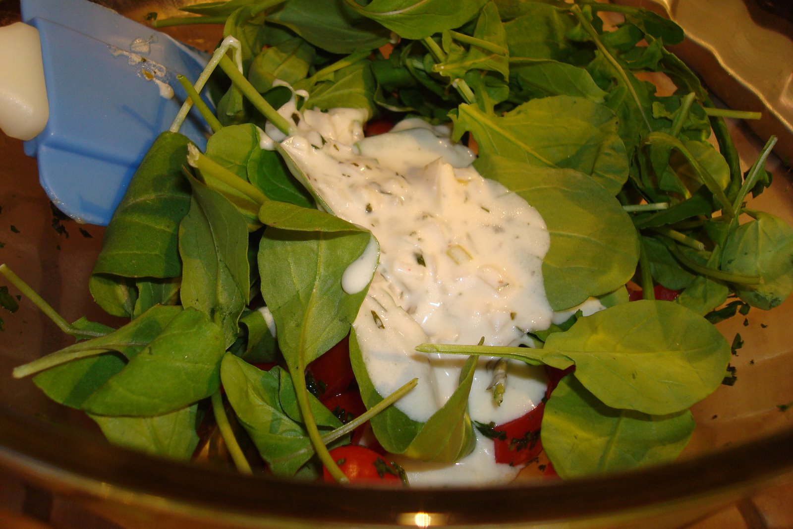 [DSC06677.JPG]