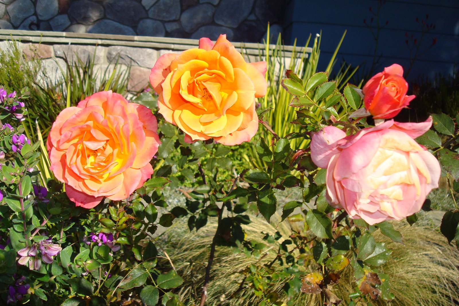 [DSC06742.JPG]
