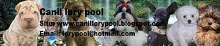 Canil Lory Pool