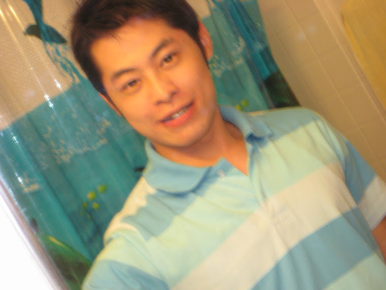 MY DOMAIN: The bathroom