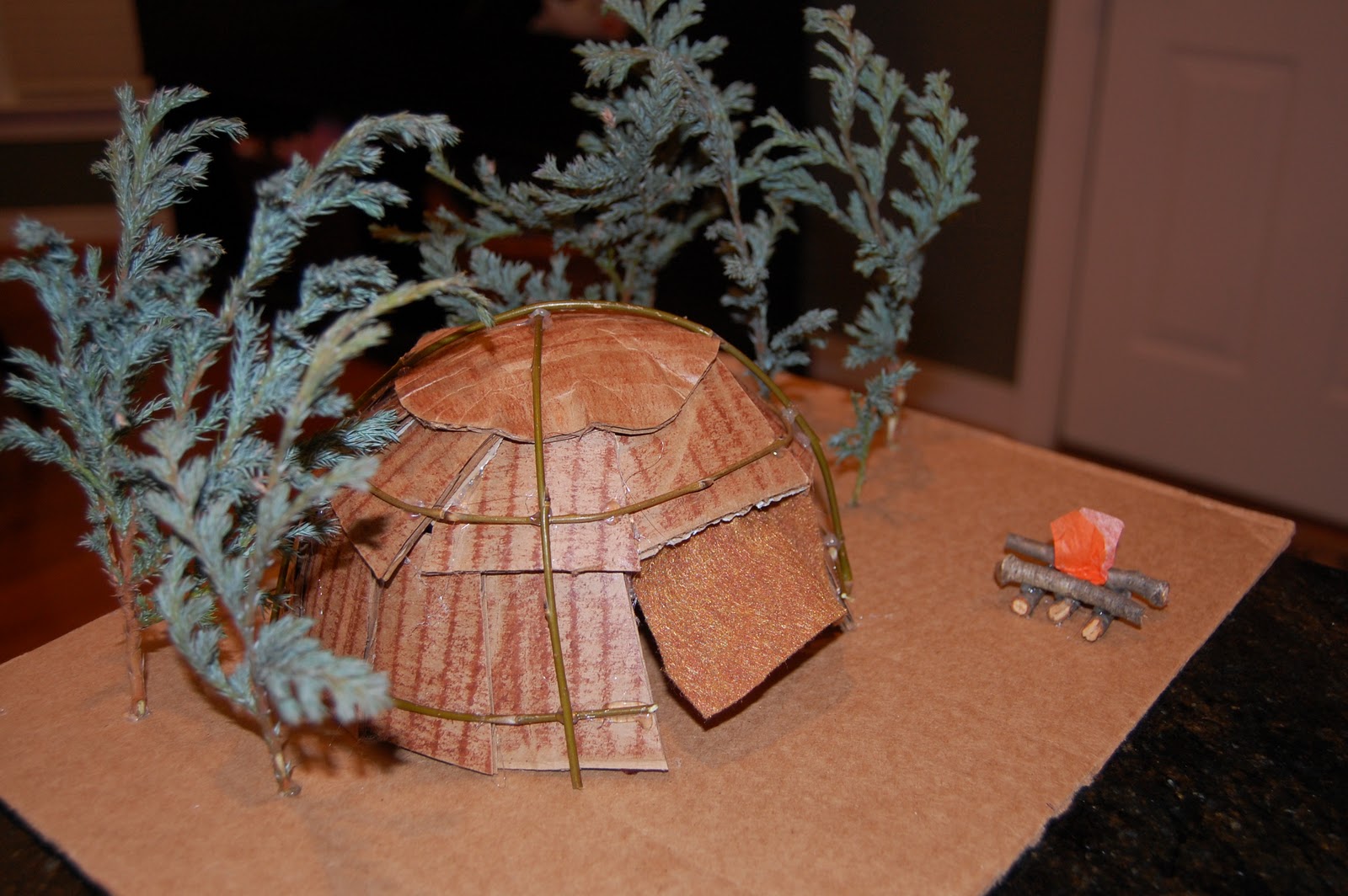 SCHLENSKER FAMILY January 2011