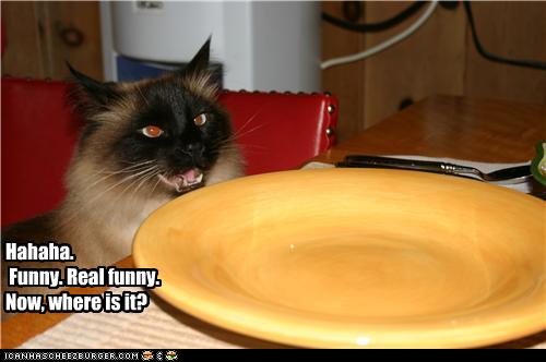 funny-pictures-cat-has-empty-plate.jpg