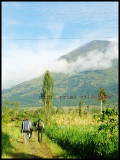 Perkebunan Kaki Gunung sindoro