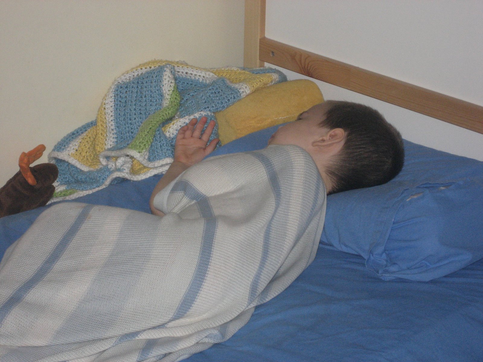 [Nap+B.JPG]
