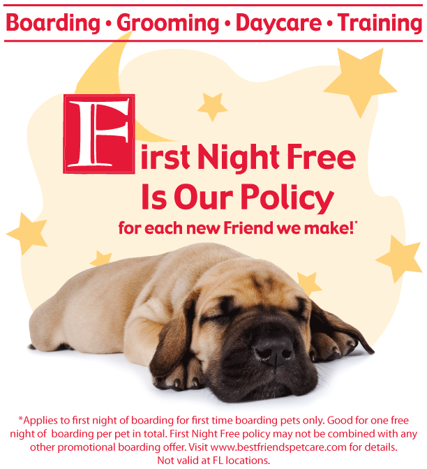 [First-Night-Free.GIF]