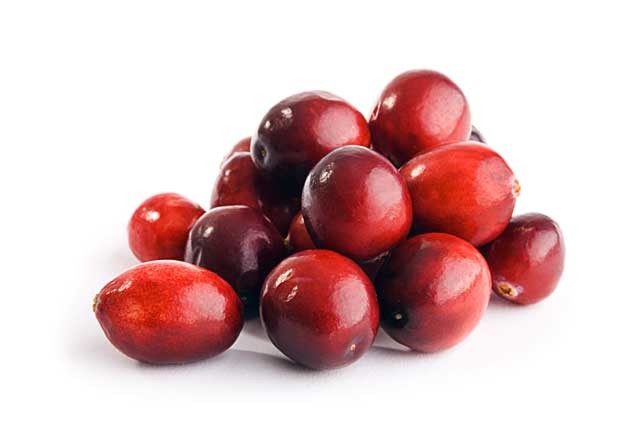 [cranberries-brookfarmjpg.jpg]