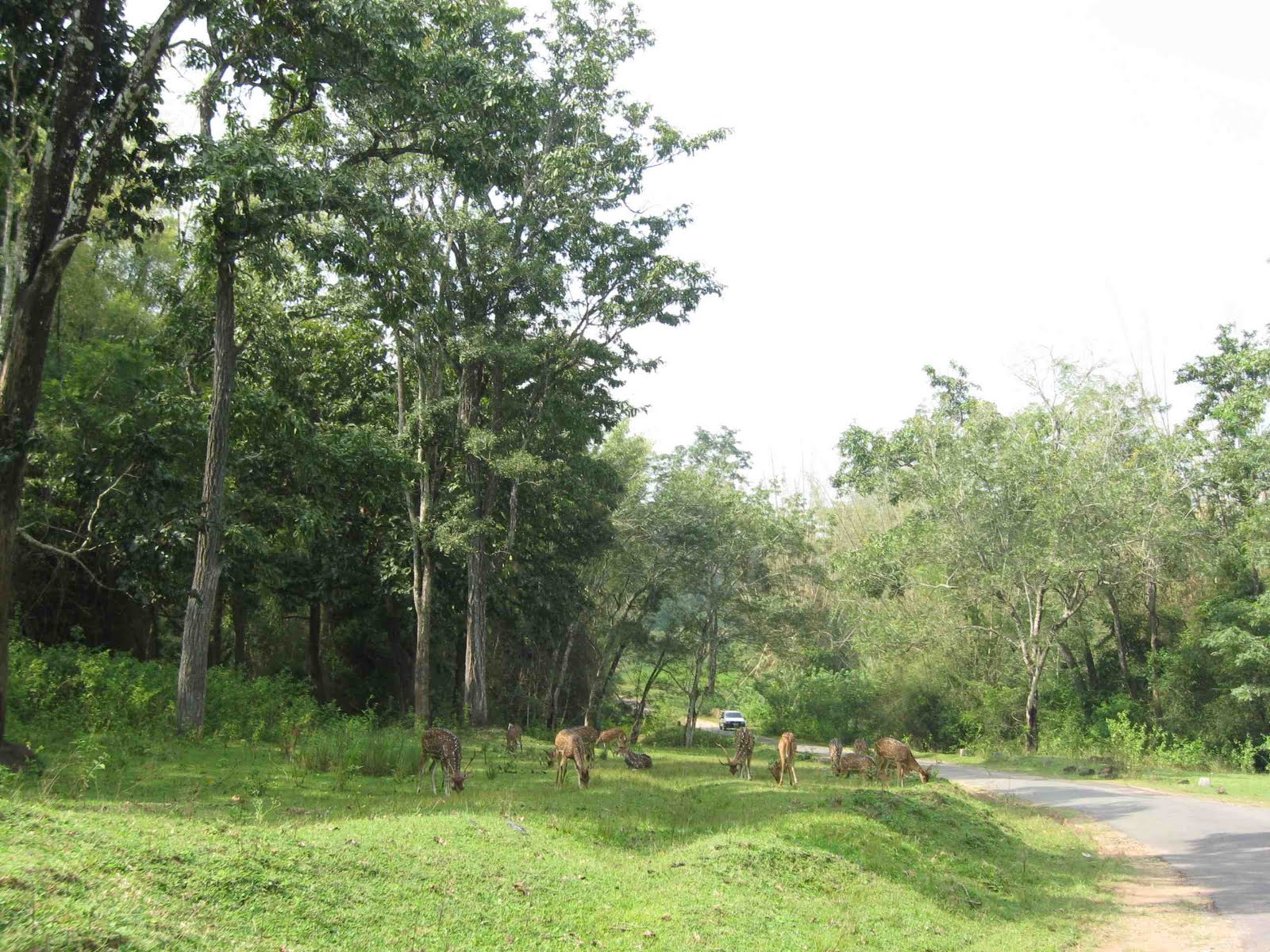 Lakshmana Tirtha Falls Lakshmana Tirtha Falls