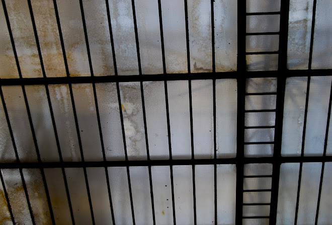 Go ahead, I know you want it.