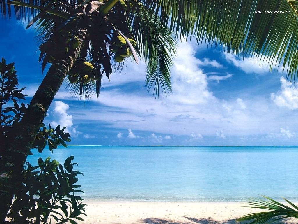 Divertido Cotidiano: Belíssimas praias brasileiras