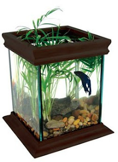 Aquarium Fish Tanks Betta Cube Desktop Aquarium Tank Kit