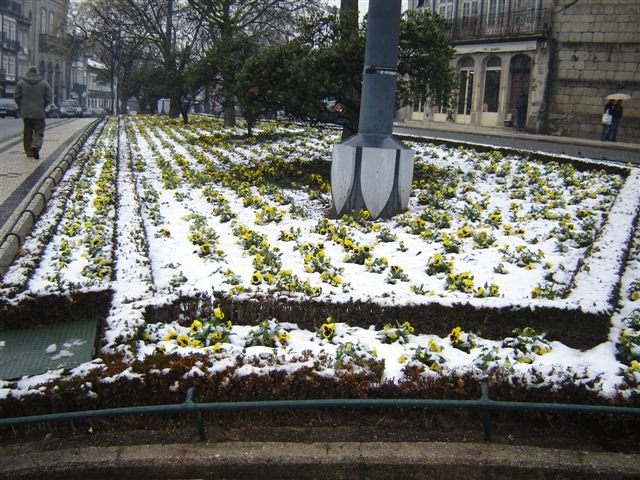 [DSC04480.JPG]