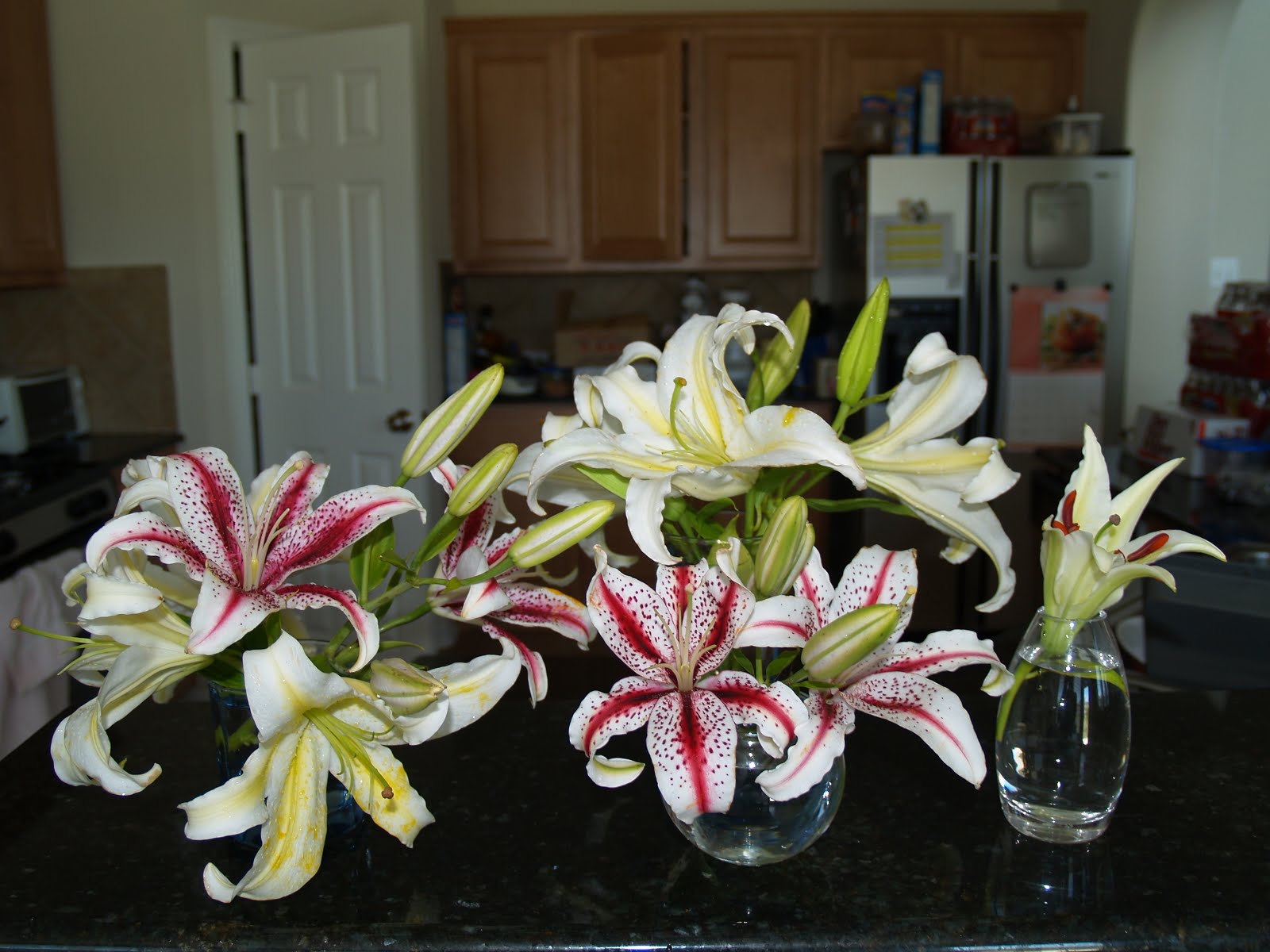 Almost Tropical in Texas Oriental Lilies from my garden