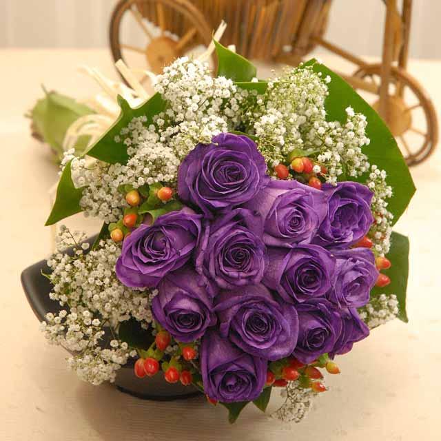 [Image: purple+roses.jpg]