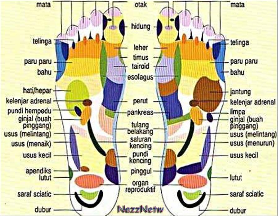 Jom Beli Shop Detoxifying Foot Pads