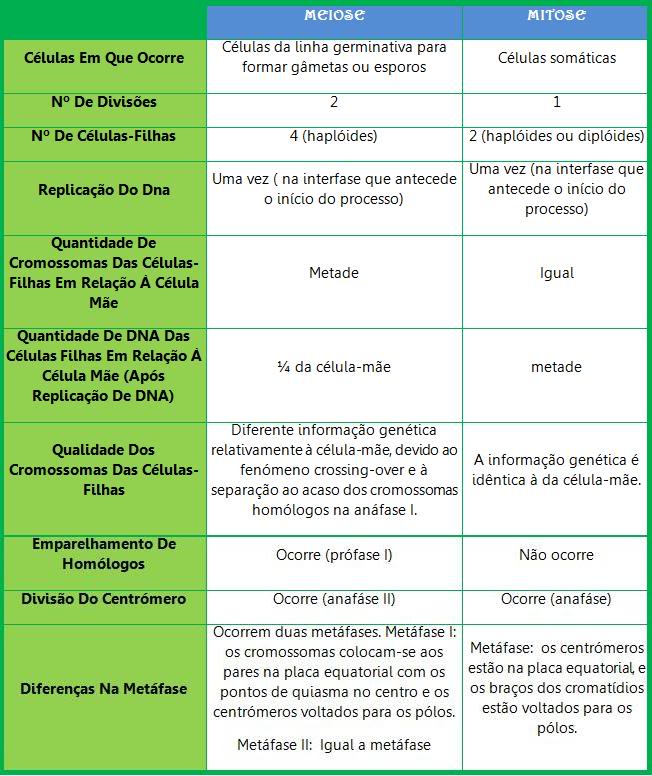 Mitose e meiose: tabela comparativa e exercícios - Escola Kids