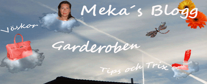 Mekas blogg