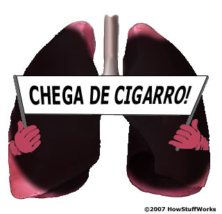 [parardefumar.jpg]
