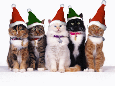 MerryChristmasCats.gif