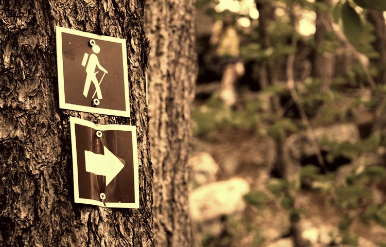 [Hiking_by_Mona_Cake.jpg]