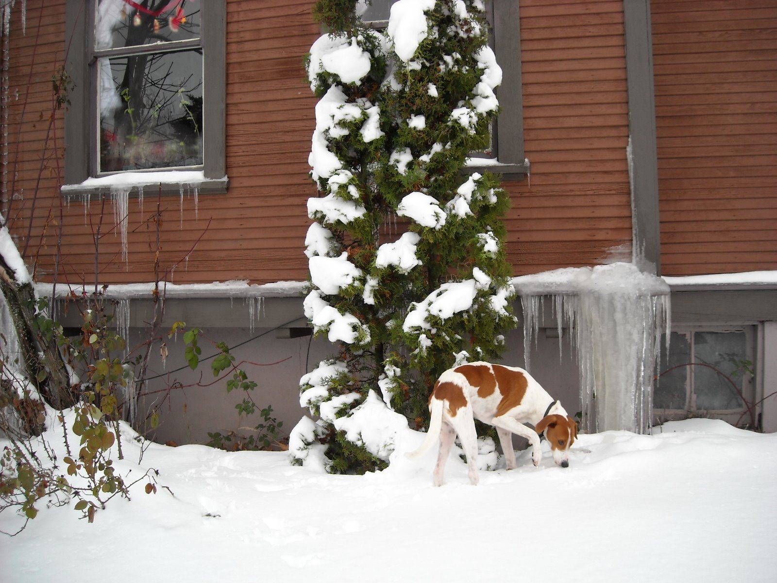 [portland+in+the+snow+058.JPG]