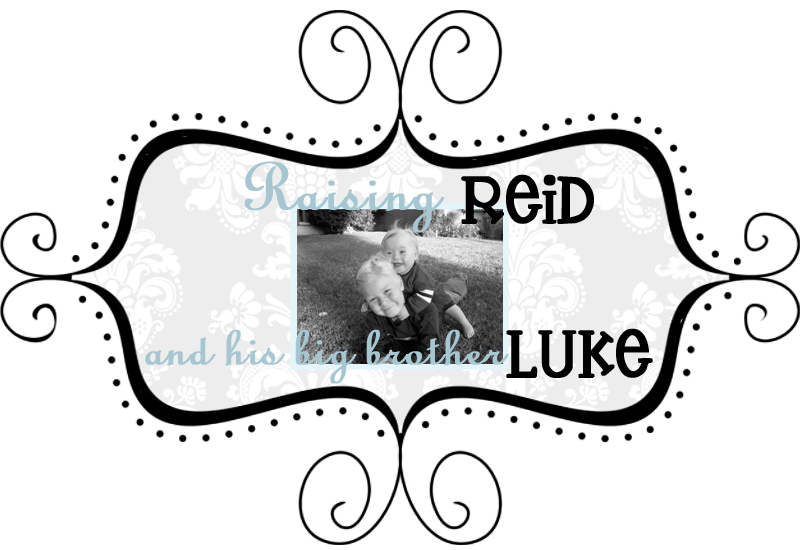Raising Reid