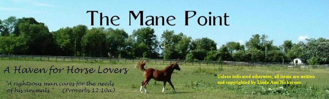 The Mane Point