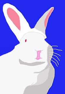 Hilo Living Blog: 2011 Year of the Rabbit
