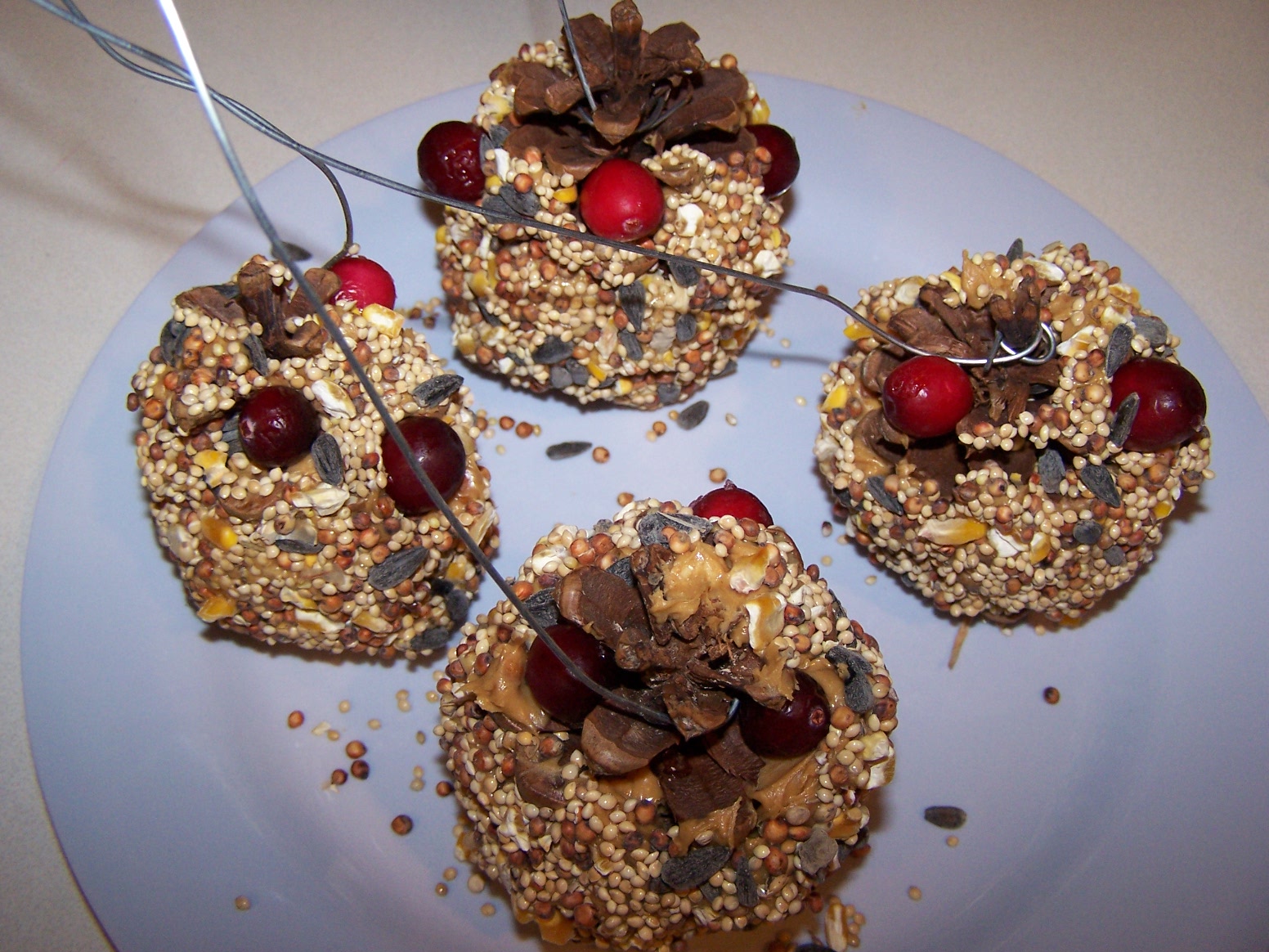 Nitty Gritty Pretty Bird Seed Ornaments