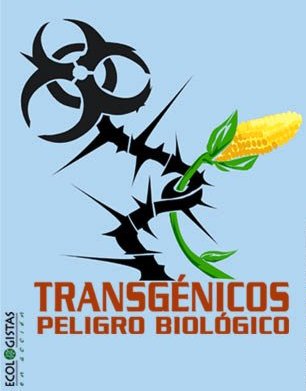 [Transgénicos+peligro+biológico.jpg]